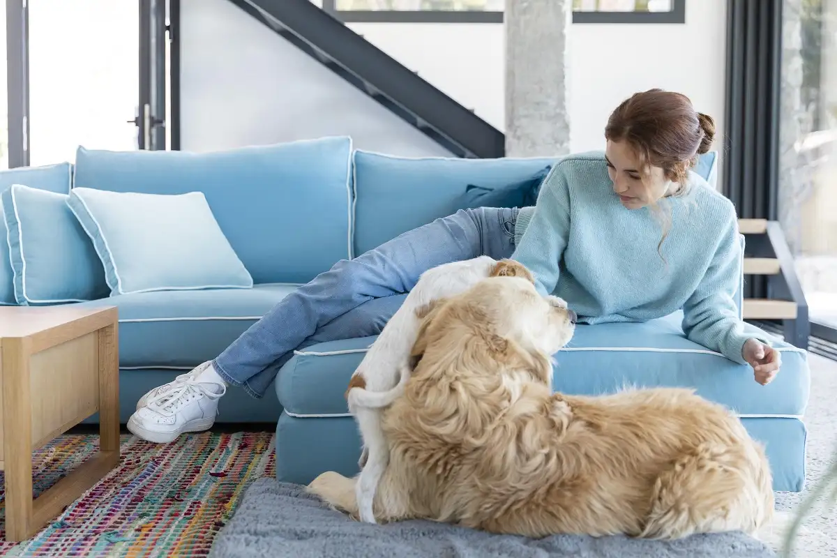 The Tale of the Mini Goldendoodle: A Perfect Fit for Family and Small Spaces